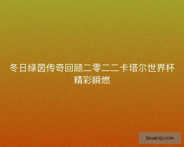 冬日绿茵传奇回顾二零二二卡塔尔世界杯精彩瞬燃